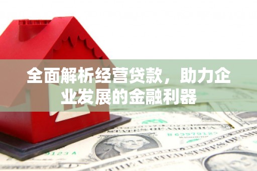 滨海全面解析经营贷款，助力企业发展的金融利器