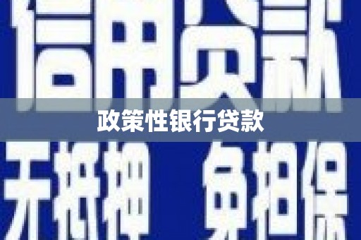 滨海政策性银行贷款