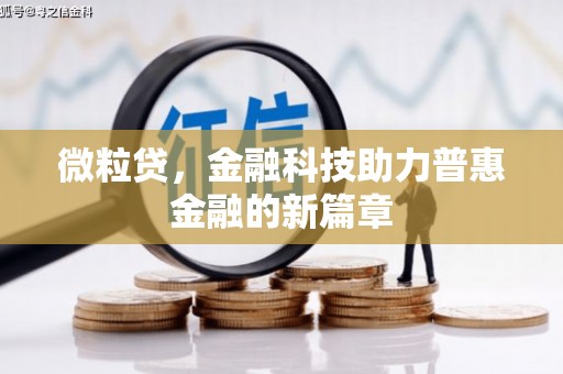 滨海微粒贷，金融科技助力普惠金融的新篇章