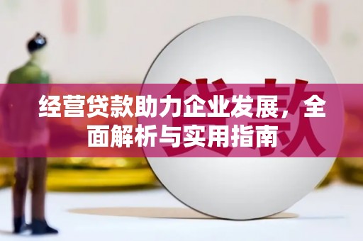 滨海经营贷款助力企业发展，全面解析与实用指南