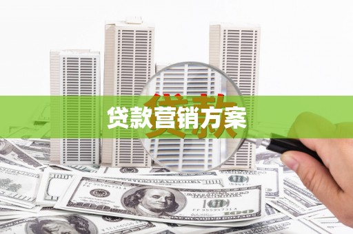 滨海贷款营销方案