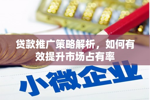 滨海贷款推广策略解析，如何有效提升市场占有率
