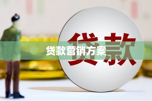 滨海贷款营销方案