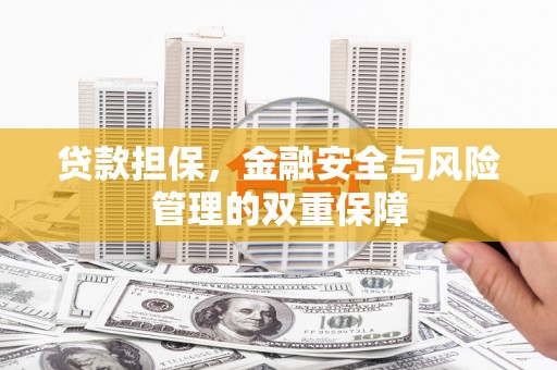 滨海贷款担保，金融安全与风险管理的双重保障
