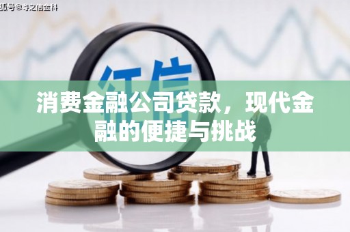 滨海消费金融公司贷款，现代金融的便捷与挑战