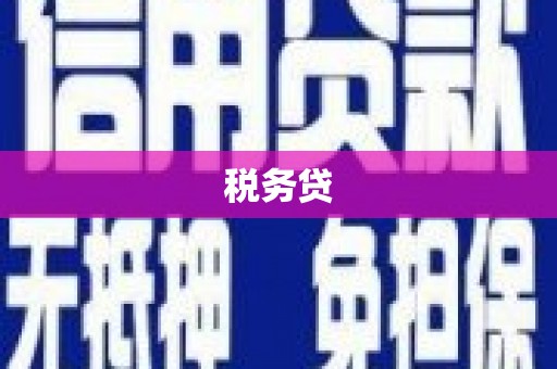 滨海税务贷