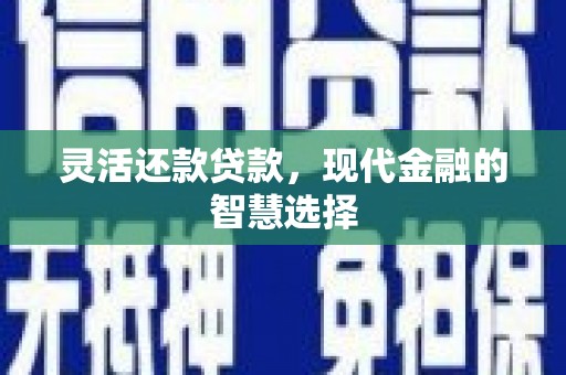 滨海灵活还款贷款，现代金融的智慧选择