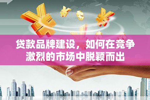 滨海贷款品牌建设，如何在竞争激烈的市场中脱颖而出