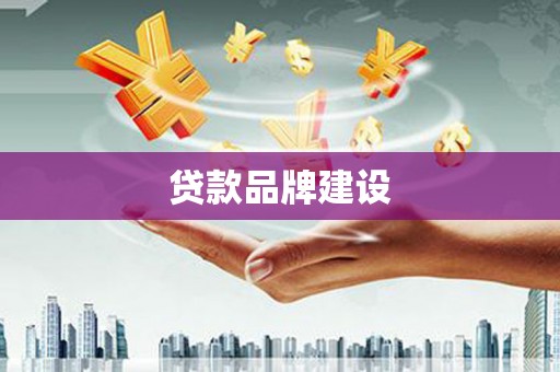 滨海贷款品牌建设