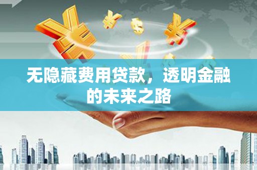 滨海无隐藏费用贷款，透明金融的未来之路
