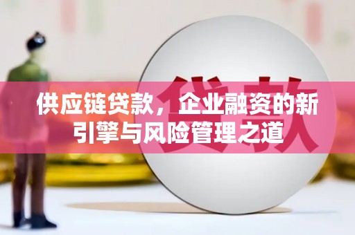 滨海供应链贷款，企业融资的新引擎与风险管理之道