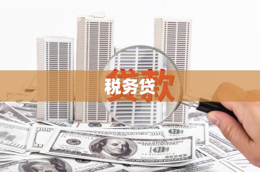滨海税务贷