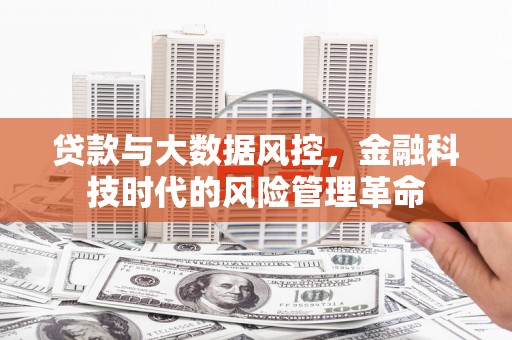 滨海贷款与大数据风控，金融科技时代的风险管理革命