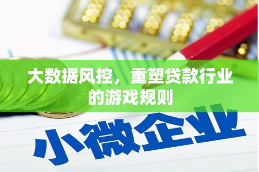 滨海大数据风控，重塑贷款行业的游戏规则