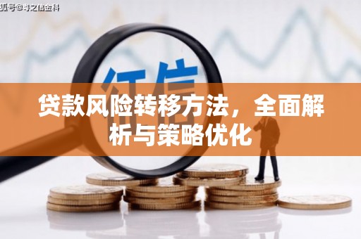 滨海贷款风险转移方法，全面解析与策略优化