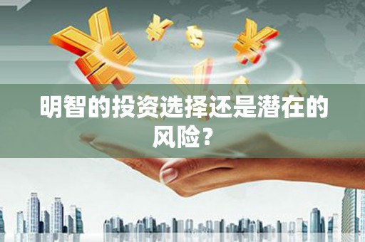 滨海明智的投资选择还是潜在的风险？
