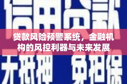 滨海贷款风险预警系统，金融机构的风控利器与未来发展