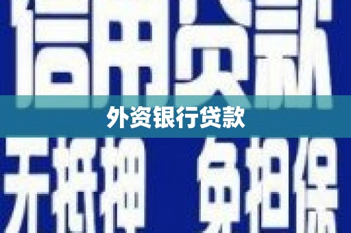 滨海外资银行贷款