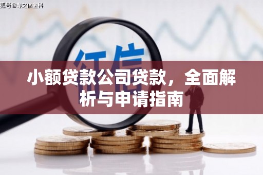 滨海小额贷款公司贷款，全面解析与申请指南
