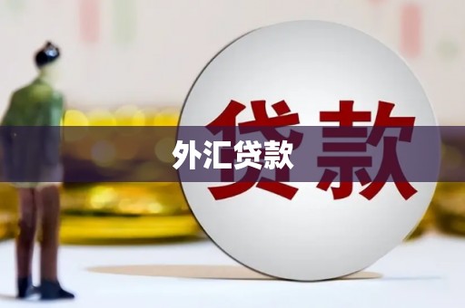 滨海外汇贷款