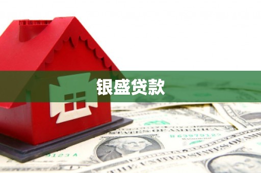 滨海银盛贷款
