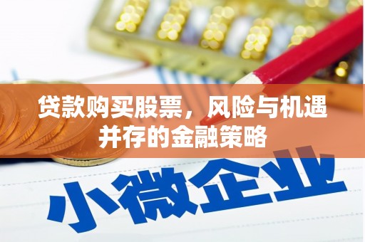 滨海贷款购买股票，风险与机遇并存的金融策略