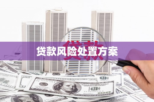 滨海贷款风险处置方案