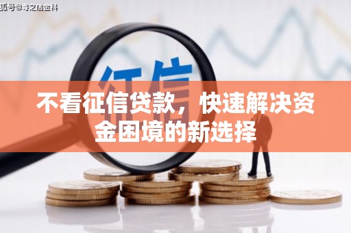 滨海不看征信贷款，快速解决资金困境的新选择