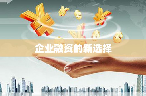 滨海企业融资的新选择
