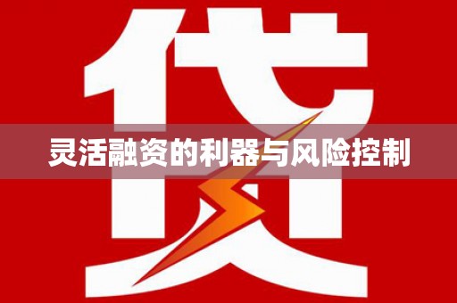 滨海灵活融资的利器与风险控制