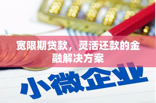 滨海宽限期贷款，灵活还款的金融解决方案