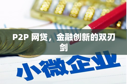 滨海P2P 网贷，金融创新的双刃剑