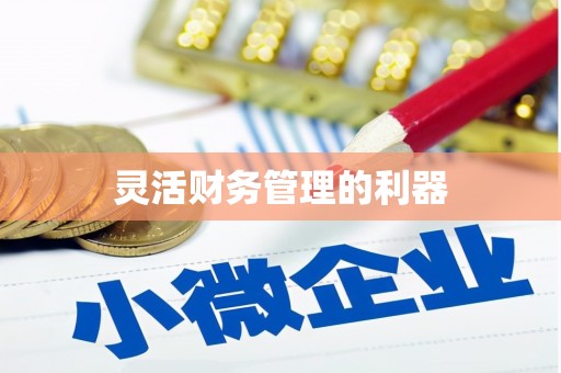 滨海灵活财务管理的利器