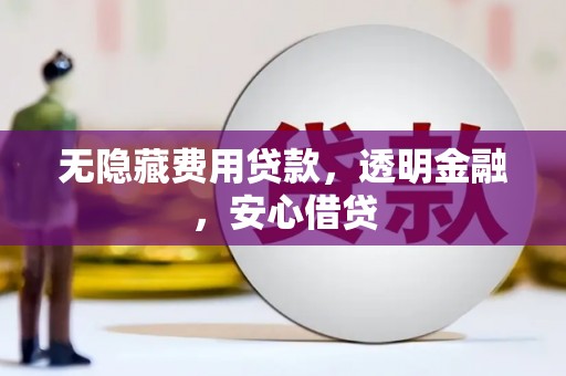 滨海无隐藏费用贷款，透明金融，安心借贷