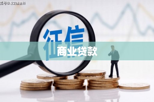 滨海商业贷款