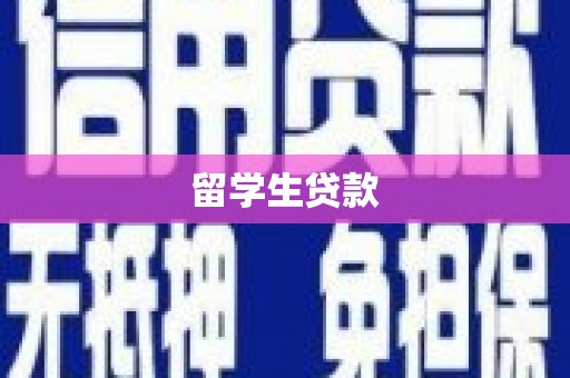 滨海留学生贷款