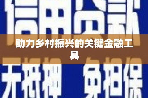 滨海助力乡村振兴的关键金融工具