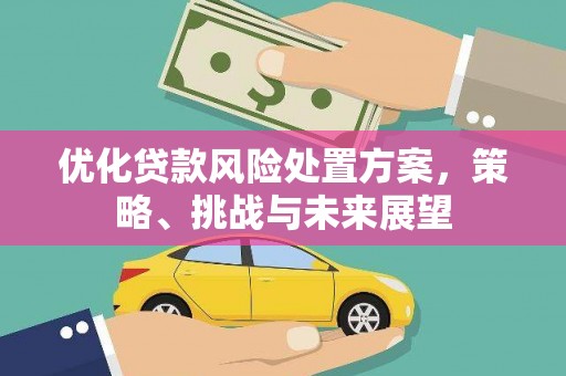 滨海优化贷款风险处置方案，策略、挑战与未来展望