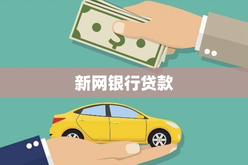 滨海新网银行贷款