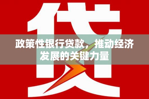 滨海政策性银行贷款，推动经济发展的关键力量