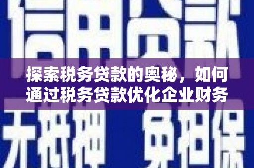 滨海探索税务贷款的奥秘，如何通过税务贷款优化企业财务