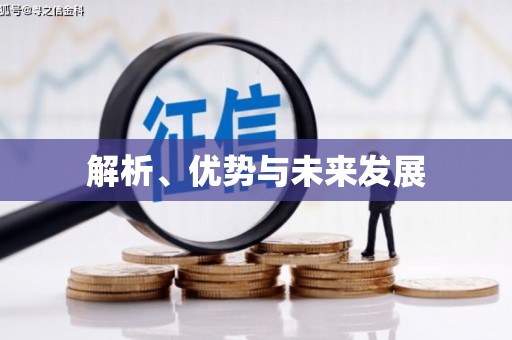 滨海解析、优势与未来发展