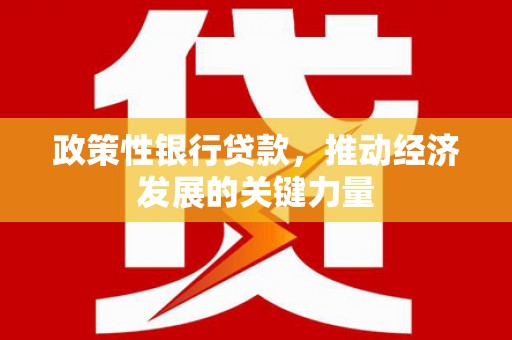 滨海政策性银行贷款，推动经济发展的关键力量