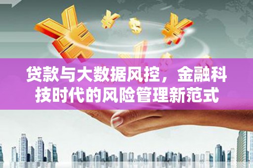 滨海贷款与大数据风控，金融科技时代的风险管理新范式