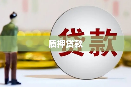 滨海质押贷款