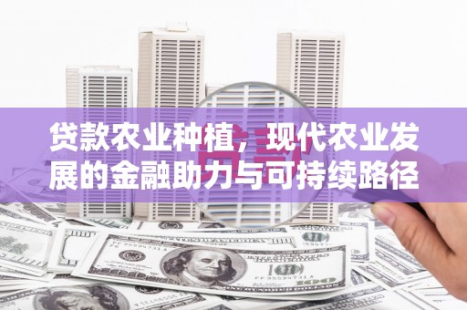 滨海贷款农业种植，现代农业发展的金融助力与可持续路径