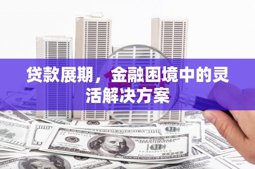 滨海贷款展期，金融困境中的灵活解决方案