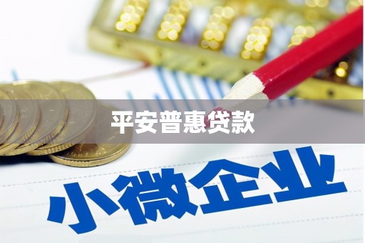 滨海平安普惠贷款