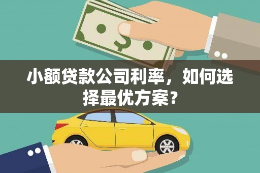 滨海小额贷款公司利率，如何选择最优方案？