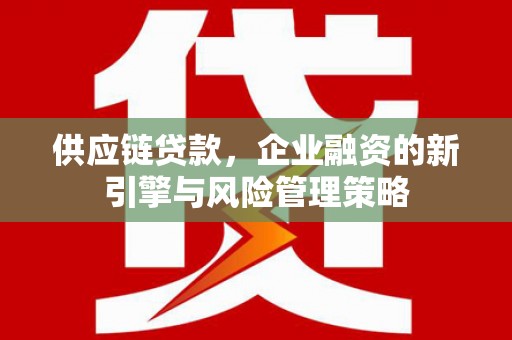 滨海供应链贷款，企业融资的新引擎与风险管理策略